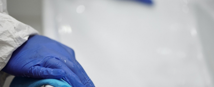 Πώς να βεβαιωθείτε ότι το νέο σας σπίτι είναι απαλλαγμένο από έντομα